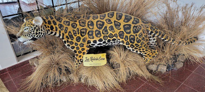 Centro de Interpretaci&oacute;n del Patrimonio Natural La Delfina